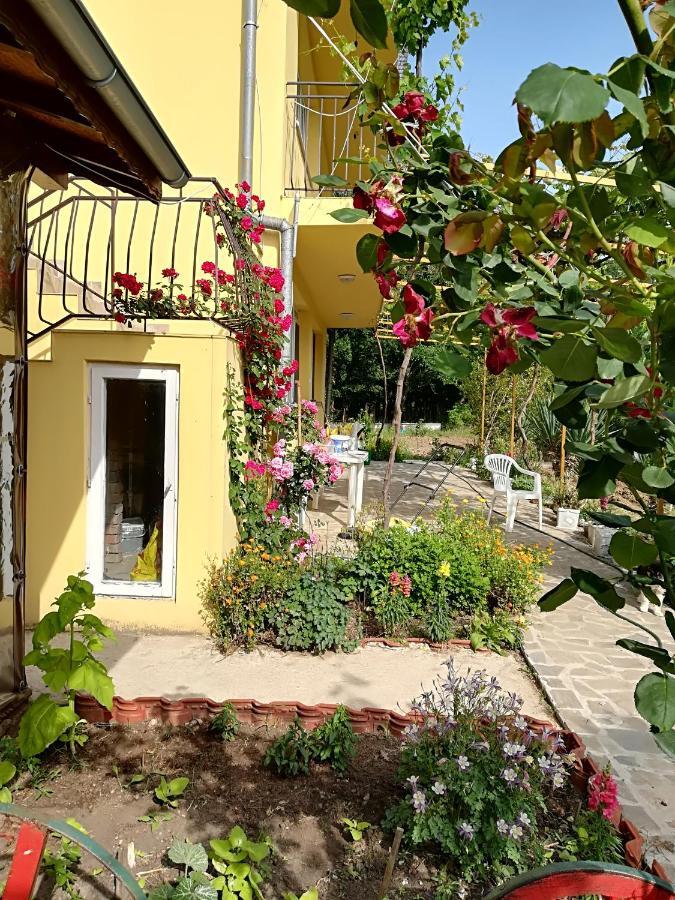 Вила Сириус Sinemorec Zewnętrze zdjęcie